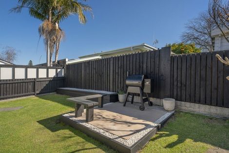 Photo of property in 227a Fifteenth Avenue, Tauranga South, Tauranga, 3112