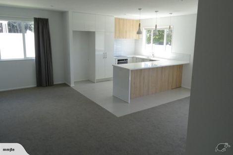 Photo of property in 133a Brookside Road, Rolleston, 7614