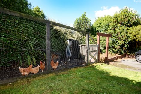 Photo of property in 55 Havelock Street, Mornington, Dunedin, 9011