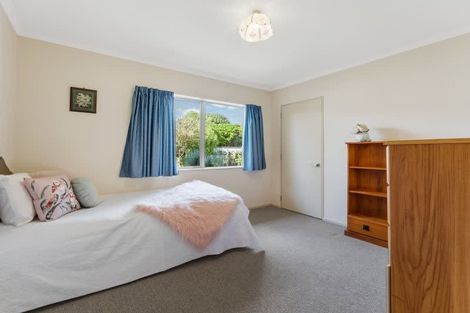Photo of property in 38 Duke Street, Levin, 5510