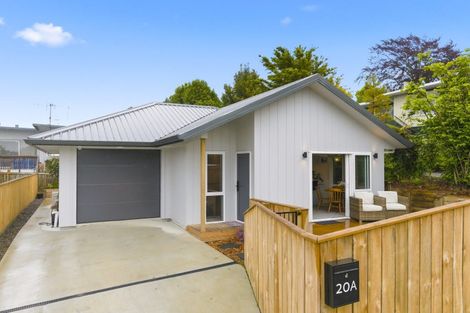 Photo of property in 20a Argyle Avenue, Levin, 5510