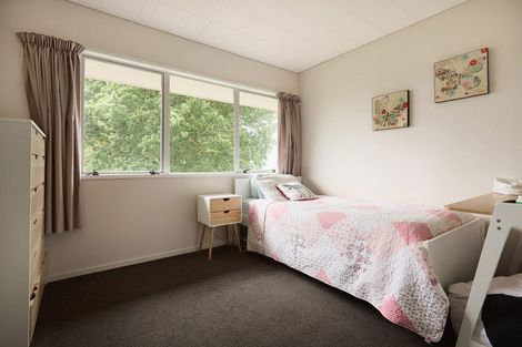 Photo of property in 132 Cambridge Road, Bethlehem, Tauranga, 3110