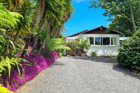 Photo of property in 395b Driving Creek Road, Coromandel, 3506
