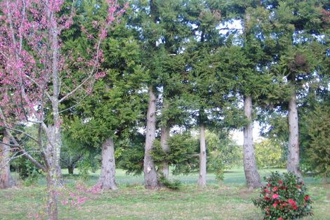 Photo of property in 20 Aileen Place, Whangamata, 3691