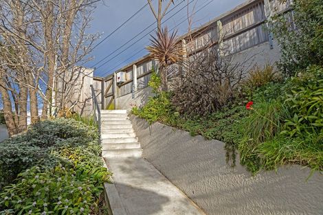 Photo of property in 19 Claremont Street, Maori Hill, Dunedin, 9010
