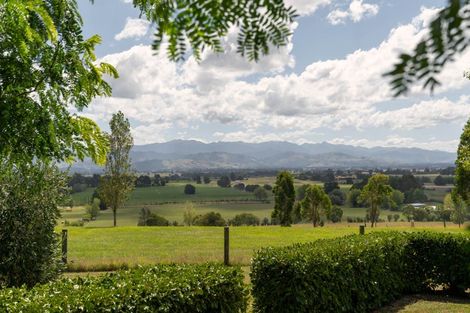 Photo of property in 246 Tiffin Road, Parkvale, Carterton, 5792