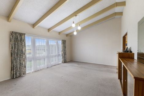 Photo of property in 556 Queen Street East, Levin, 5510