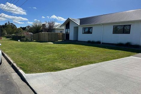 Photo of property in 51 Marumaru Street, Marton, 4710