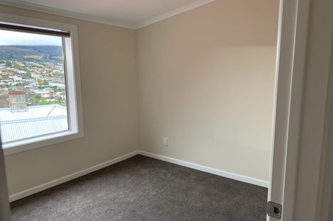 Photo of property in 6a Annie Street, Roslyn, Dunedin, 9010