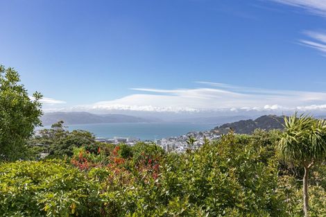 Photo of property in 63 Washington Avenue, Brooklyn, Wellington, 6021