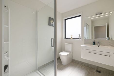 Photo of property in 55 Probert Crescent, Chartwell, Hamilton, 3210