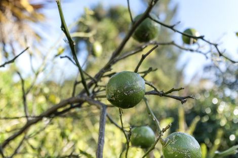 Photo of property in 108 Carrington Street, Lower Vogeltown, New Plymouth, 4310