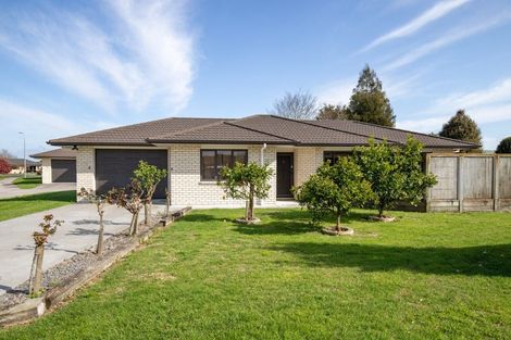 Photo of property in 3 Factory Lane, Ngatea, 3503