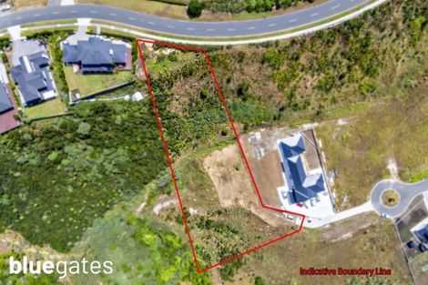 Photo of property in 19 Kanuka Road, Hobsonville, Auckland, 0616