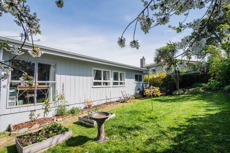 Photo of property in 171 Selwyn Street, Marchwiel, Timaru, 7910
