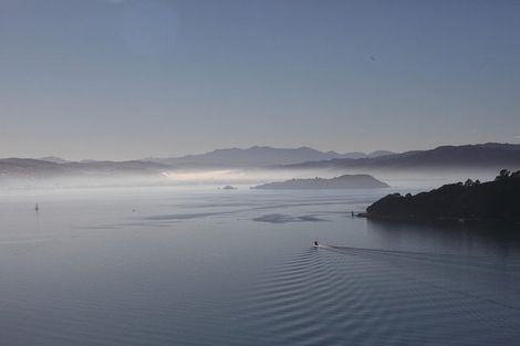 Photo of property in 21 Waipapa Terrace, Hataitai, Wellington, 6021