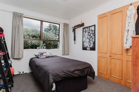 Photo of property in 336 Carisbrook Road, Mangatainoka, Pahiatua, 4982
