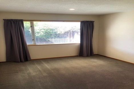 Photo of property in 9 Isabella Place, Waltham, Christchurch, 8011
