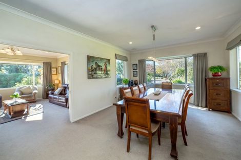 Photo of property in 45 Holdsworth Road, Homebush, Masterton, 5810