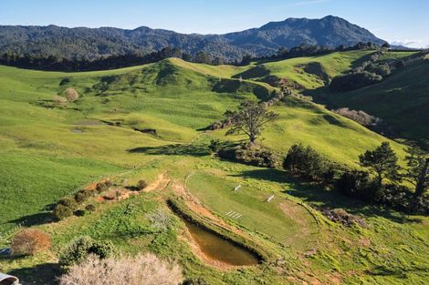 Photo of property in 102 Kennedy Road, Waikino, Waihi, 3682