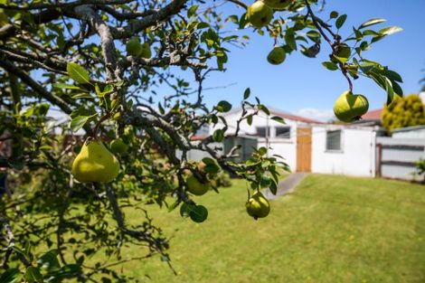 Photo of property in 5 Belvedere Crescent, Takaro, Palmerston North, 4412