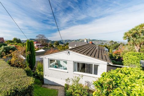 Photo of property in 36 Kilgour Street, Roslyn, Dunedin, 9010