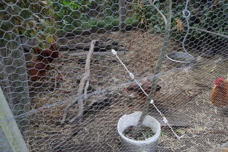 Photo of property in 130 Colombo Road, Masterton, 5810