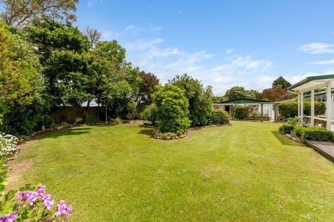 Photo of property in 28 Hanlon Road, Ashhurst, 4884