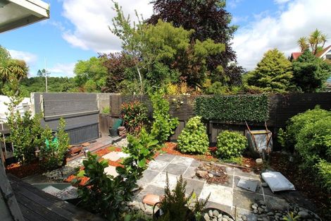 Photo of property in 20 Adam Street, Dunedin Central, Dunedin, 9016