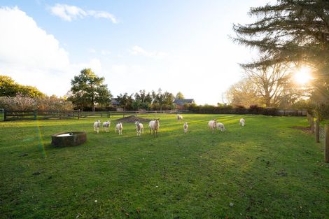 Photo of property in 191b Tauwhare Road, Tamahere, Hamilton, 3283