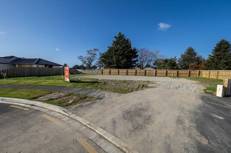 Photo of property in 79 Geoff Geering Drive, Netherby, Ashburton, 7700
