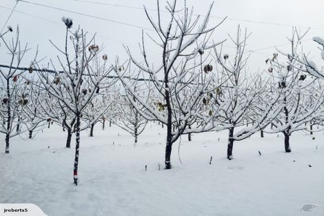 Photo of property in 66 Gladsmuir Road, Queensberry, Cromwell, 9383