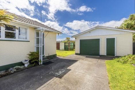 Photo of property in 59 Marumaru Street, Marton, 4710