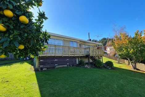 Photo of property in 113 Kingsford Place, Thames, 3500