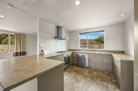 Photo of property in 56 Dale Street, Albert Town, Wanaka, 9305