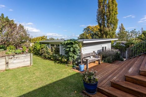 Photo of property in 115 Irishtown Road, Thames, 3500