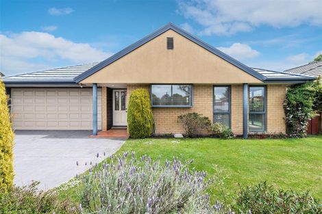 Photo of property in 91 Highsted Road, Bishopdale, Christchurch, 8053