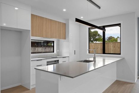 Photo of property in 10 Limbrick Street, Terrace End, Palmerston North, 4410