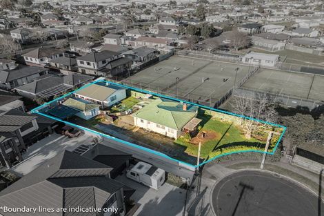 Photo of property in 22 Elizabeth Avenue, Papatoetoe, Auckland, 2025