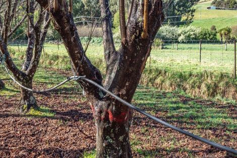 Photo of property in 9 Harmans Track, Little River, 7591