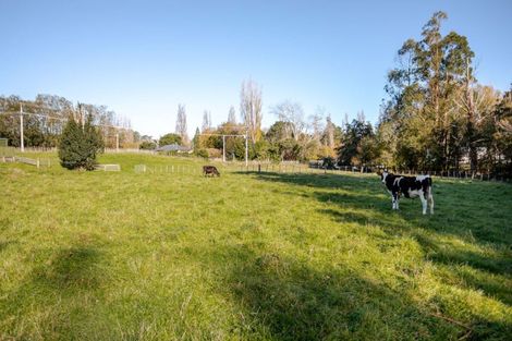 Photo of property in 41 Riverdale Road, Dannevirke, 4930