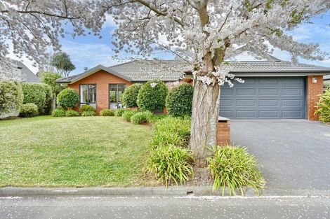 Photo of property in 11 Parkside Crescent, Northwood, Christchurch, 8051