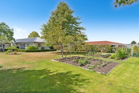 Photo of property in 1c Mary Street, Masterton, 5810