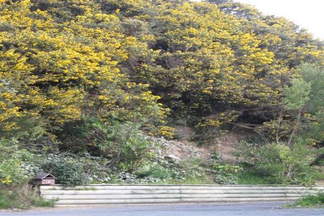 Photo of property in 16 Beatty Avenue, Karori, Wellington, 6012