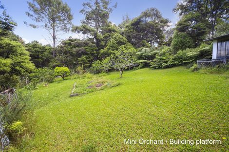 Photo of property in 22 Crows Road, Swanson, Auckland, 0614