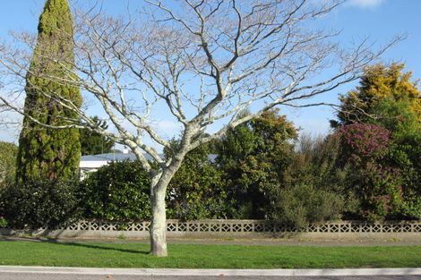 Photo of property in 25 Beach Street, Whakatane, 3120