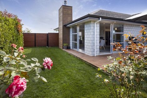 Photo of property in 53 Grigg Drive, Witherlea, Blenheim, 7201