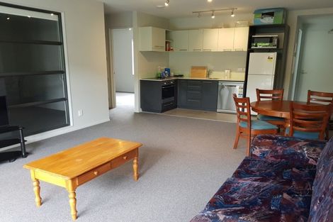 Photo of property in Detroit Apartments, 212/181u Tasman Street, Mount Cook, Wellington, 6021