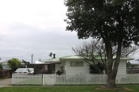 Photo of property in 16 Grenville Street, Levin, 5510