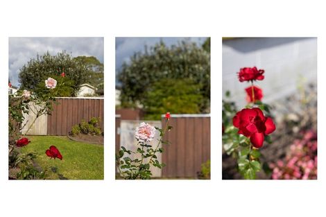 Photo of property in 18 Tutauanui Crescent, Maungatapu, Tauranga, 3112
